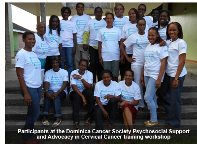 fifteen (15) participants from the La Plaine and Castle Bruce Health Districts