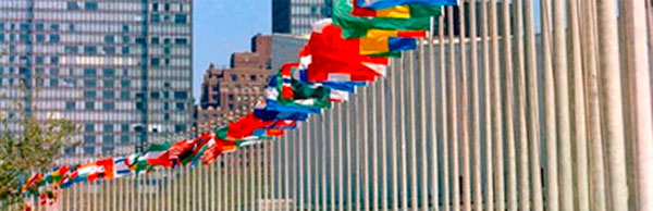 Join HCC partners in promoting NCDs at the UNGA