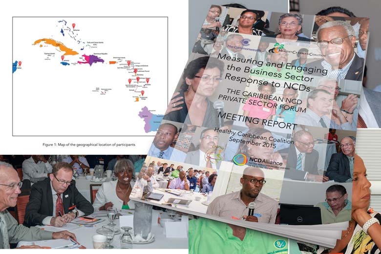 Measuring and Engaging the Business Sector Response to NCDs:
