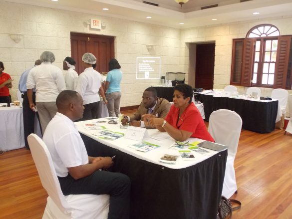 Crane 7 Wellness Day Financial Advice