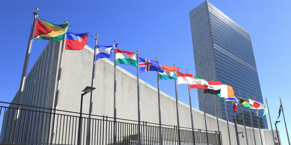 Preparing for the UN High-Level Meeting on NCDs: What you need to know