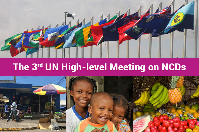 3rd UN High-level Meeting on NCDs