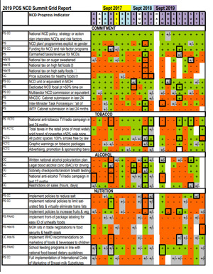 NCD Progress: 2019 POS NCD Summit Grid Report
