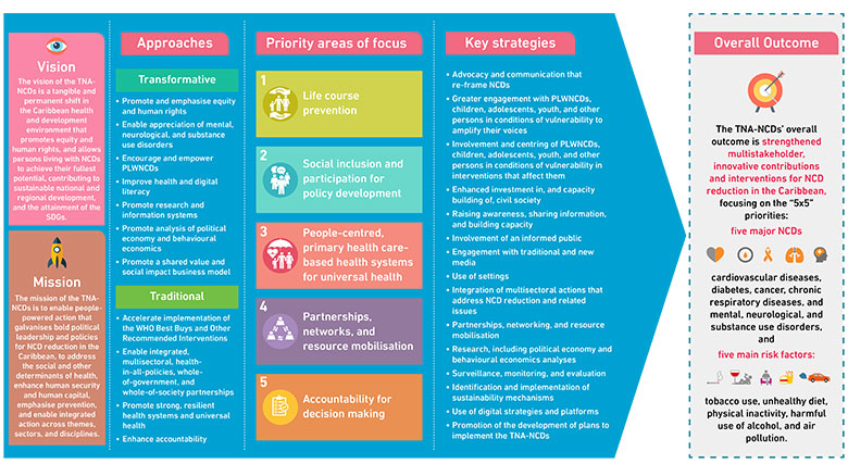 Snapshot of the TNA-NCDs