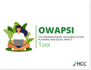 the OWAPSI tool