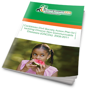 Strategic Plan 2008 cover