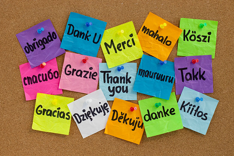 Colourful sticky notes with the phrase "thank you" written in various languages, pinned to a corkboard.